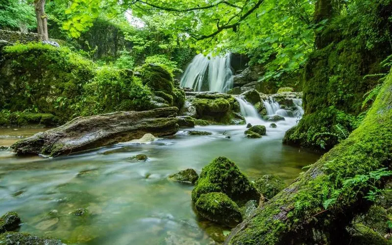 高精度智慧智能